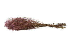 preserved-gypsophila-8.