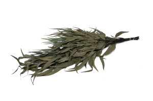 preserved-eucalyptus-willow-39.