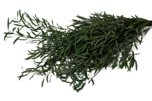 stabilisierte-eukalyptus-nicoly-11.