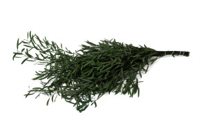 eucalyptus-nicoly-stabilise-11.