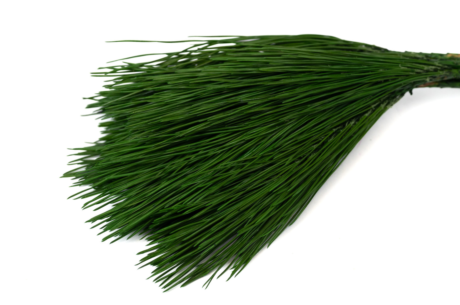 stabilisierte-kiefer-30