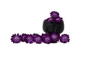 preserved-zinnia-30.