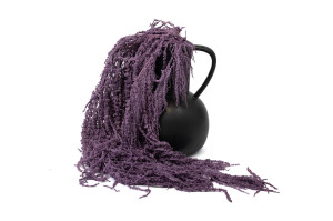 preserved-amaranthus-8.