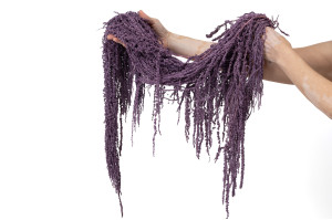 preserved-amaranthus-8.