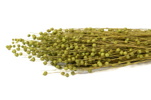 dried-flax-8.