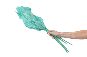 trockene-palme-spear-8.