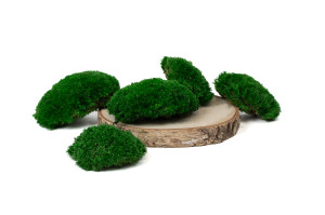 fire-retardant-preserved-pole-moss-5-b.