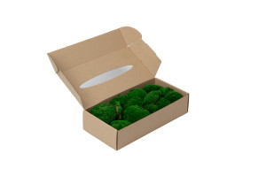 fire-retardant-preserved-pole-moss-5-b.