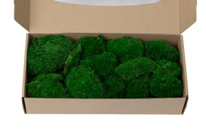 fire-retardant-preserved-pole-moss-5-b.