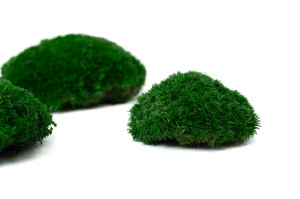 fire-retardant-preserved-pole-moss-5-b.