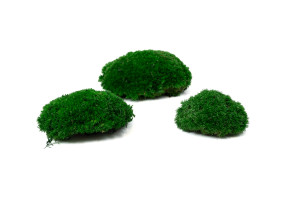 fire-retardant-preserved-pole-moss-5-b.