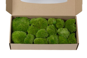 fire-retardant-preserved-pole-moss-5-b.