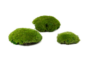 mousse-boule-stabilisee-ignifugee-5-b.