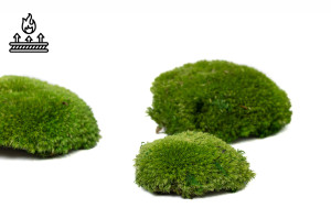 fire-retardant-preserved-pole-moss-5-b.