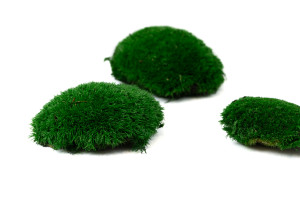 fire-retardant-preserved-pole-moss-5-cn.