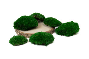 fire-retardant-preserved-pole-moss-5-cn.