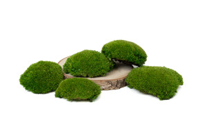 fire-retardant-preserved-pole-moss-5-cn.