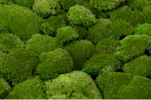 mousse-boule-stabilisee-ignifugee-5-cn.