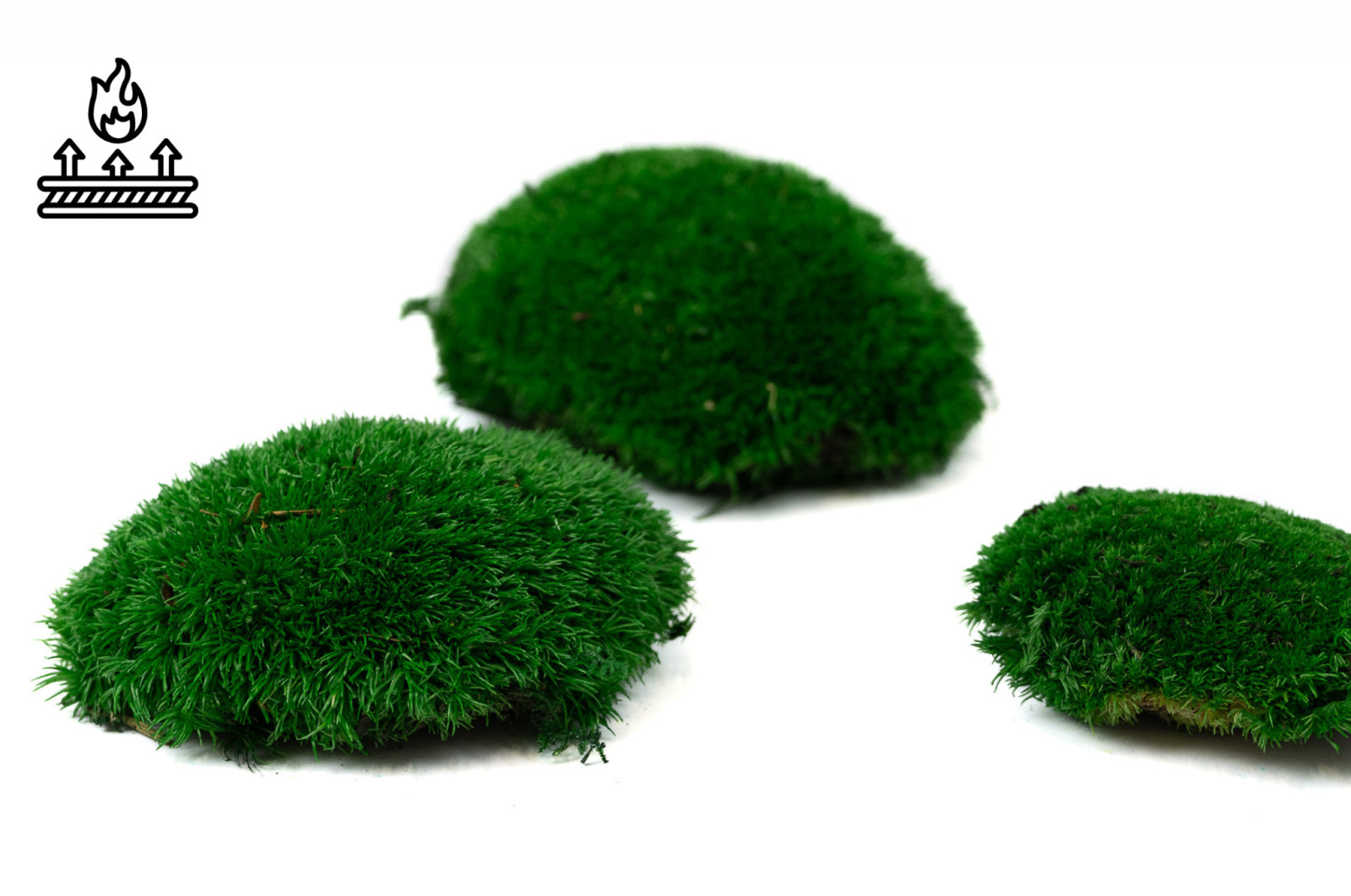 fire-retardant-preserved-pole-moss-5-cn