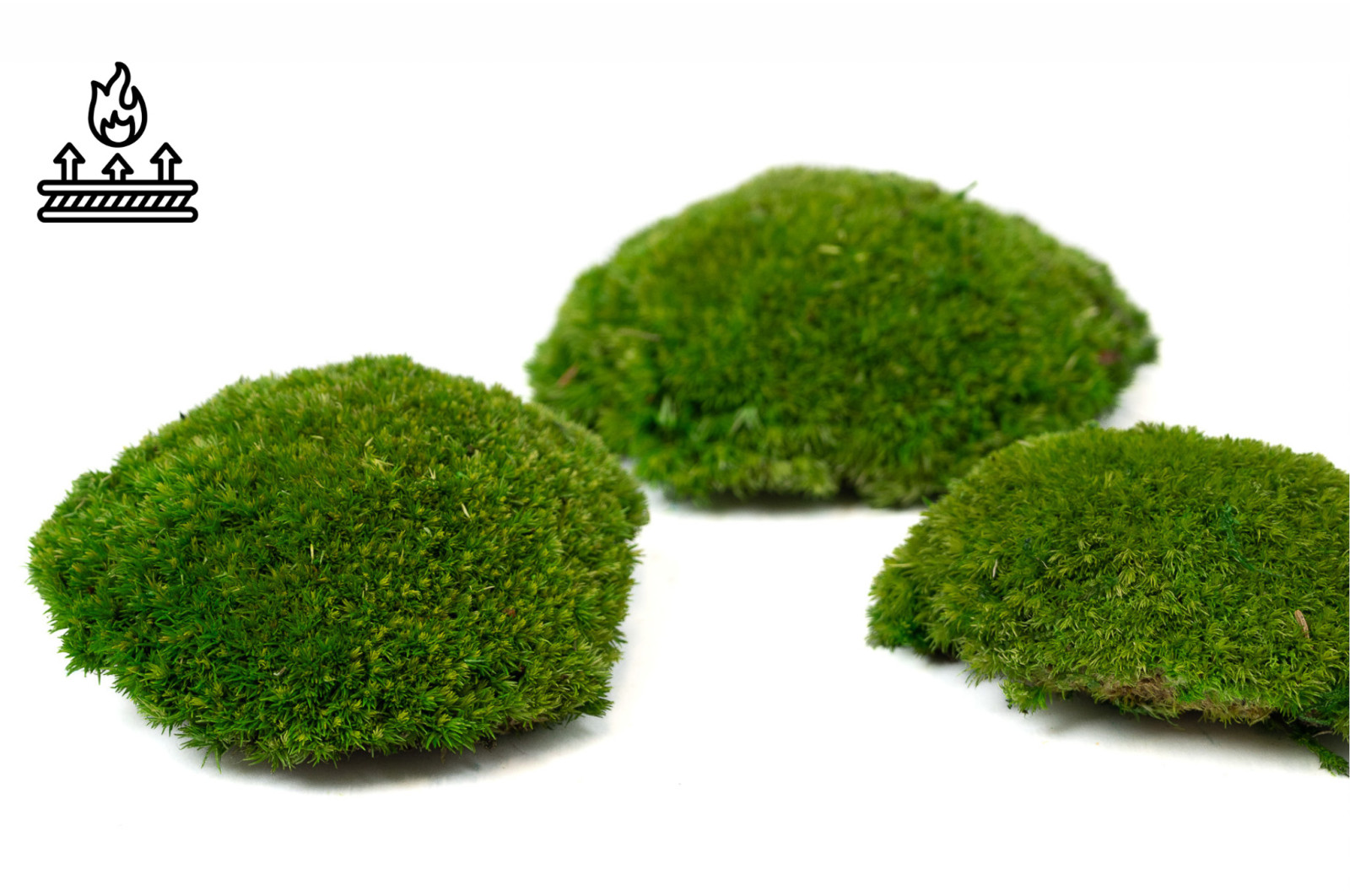 fire-retardant-preserved-pole-moss-5-cn