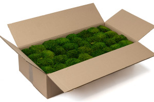 fire-retardant-preserved-provence-moss-5-cn.