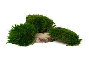 fire-retardant-preserved-provence-moss-5-cn.