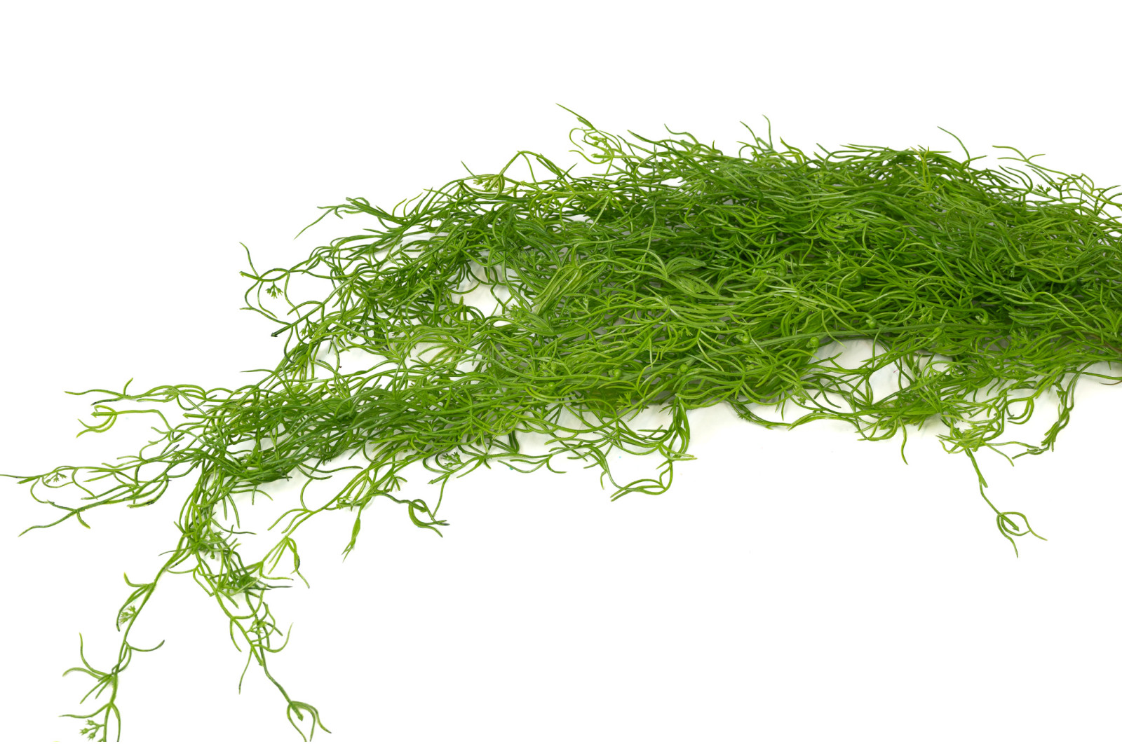 kuenstliche-tillandsia-haengepflanze-45