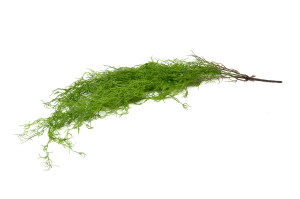 kuenstliche-tillandsia-haengepflanze-x2-beutel-45.