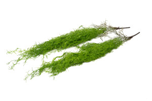 artificial-tillandsia-hanging-45.