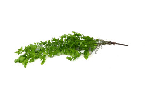 kuenstlicher-haengender-eukalyptus-45.