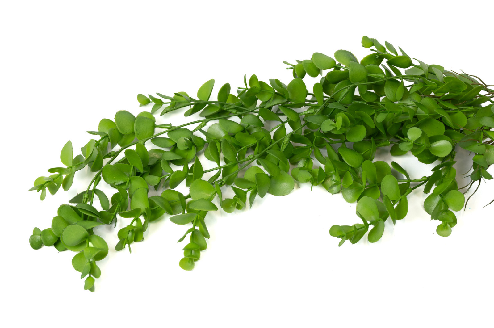 artificial-hanging-eucalyptus-45