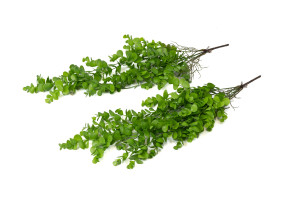 kuenstlicher-haengender-eukalyptus-45.