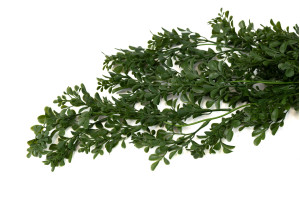 kuenstlicher-haengender-buchsbaum-x2-beutel-45.