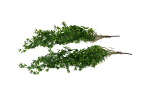 melisse-artificielle-chute-45.