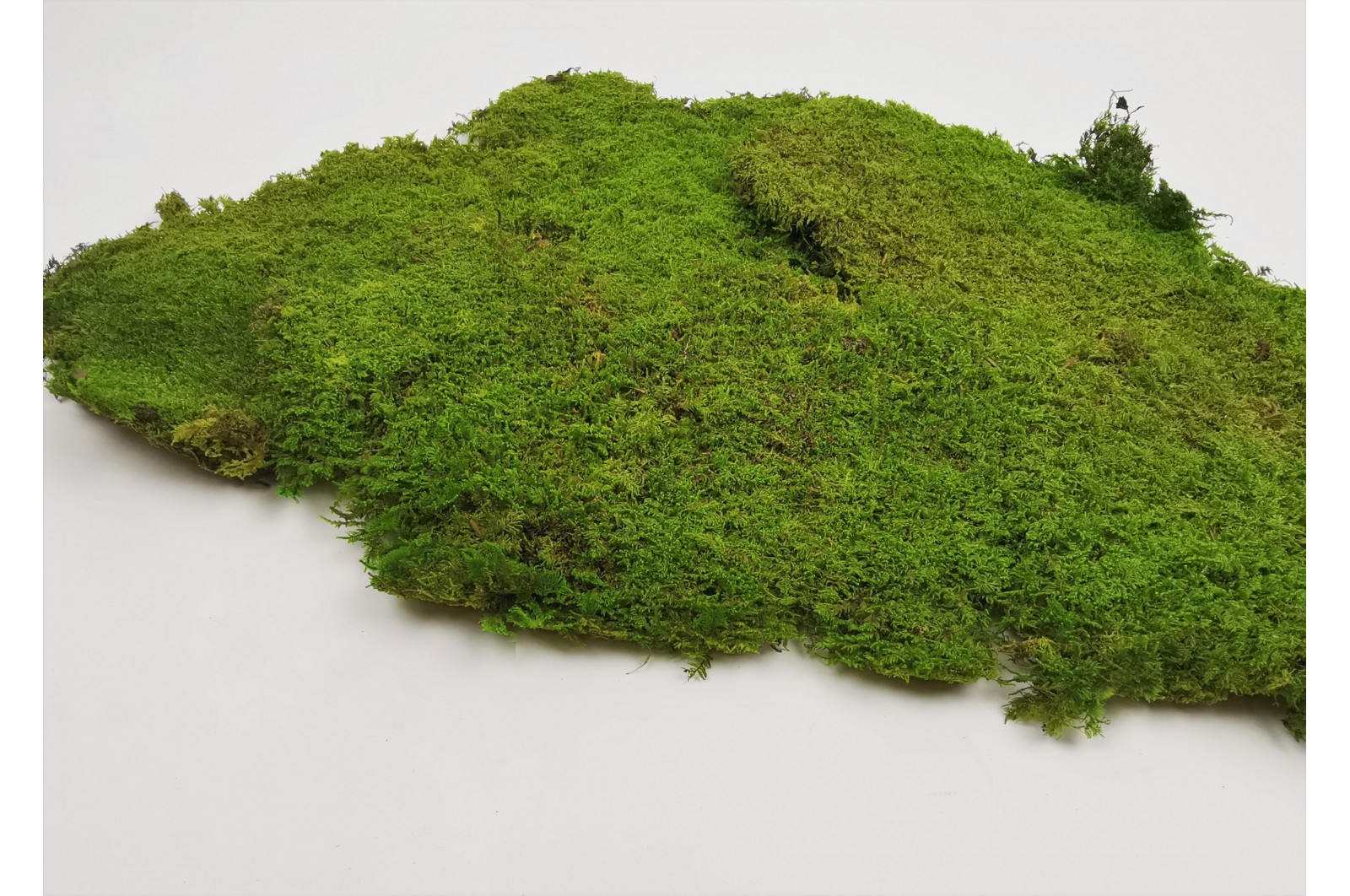 Preserved rock flat moss light green (5) 2.5 kg