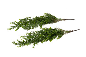 mini-artificial-eucalyptus-hanging-x2-bag-45