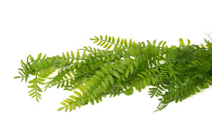 artificial-corn-fern-hanging-45