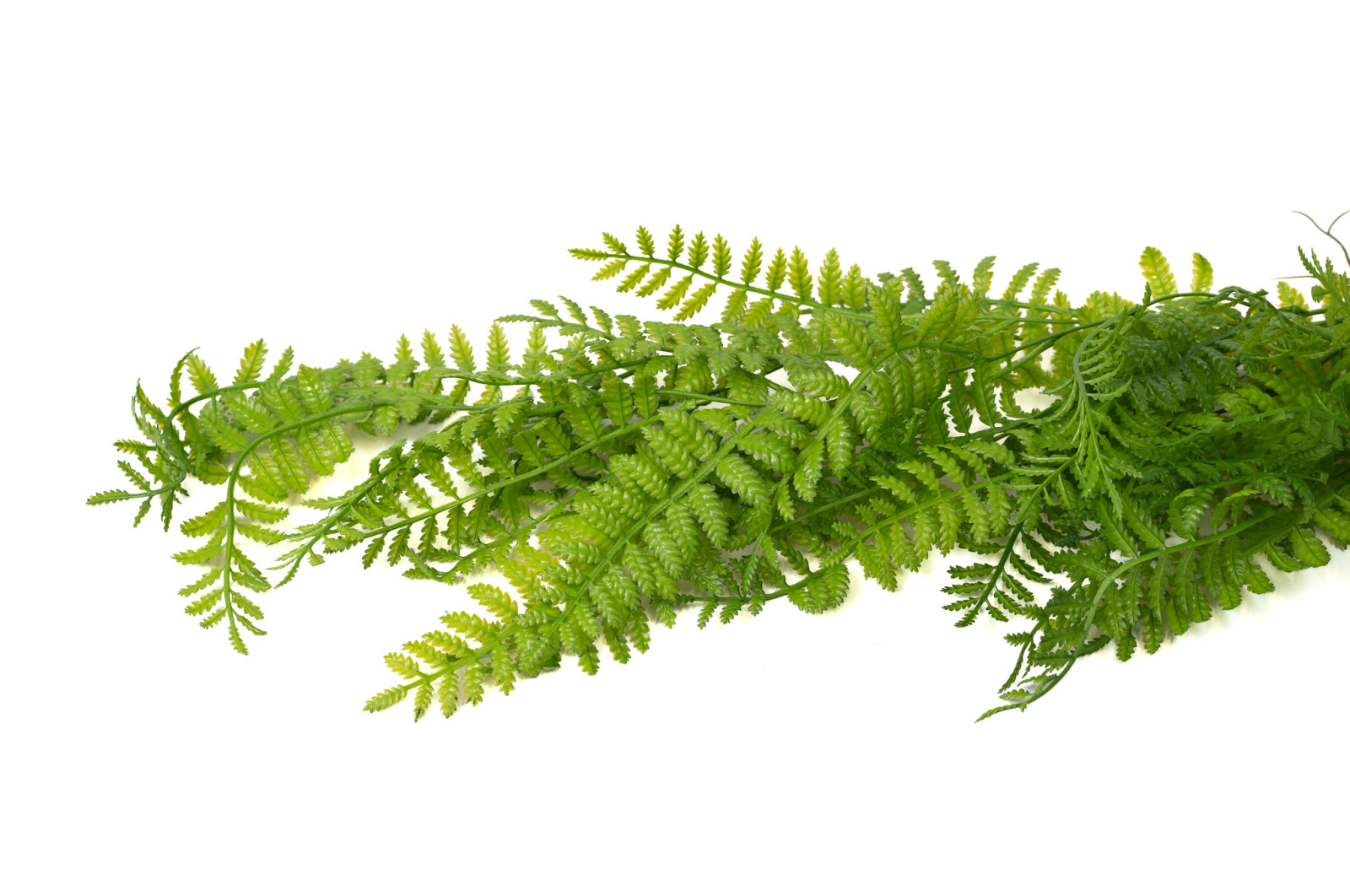 corn-fern-artificielle-chute-45