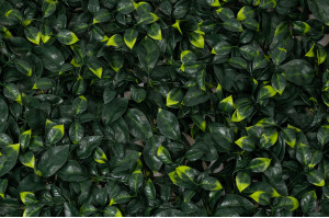 artificial-cherry-laurel-single-species-panel-45.