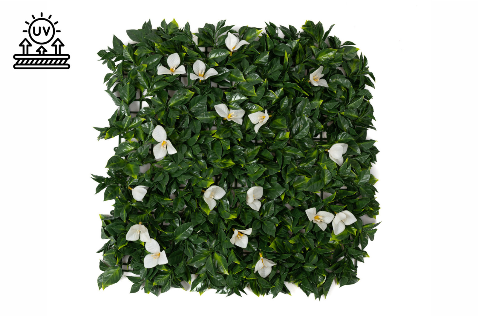 single-species-panel-artificial-bindweed-45