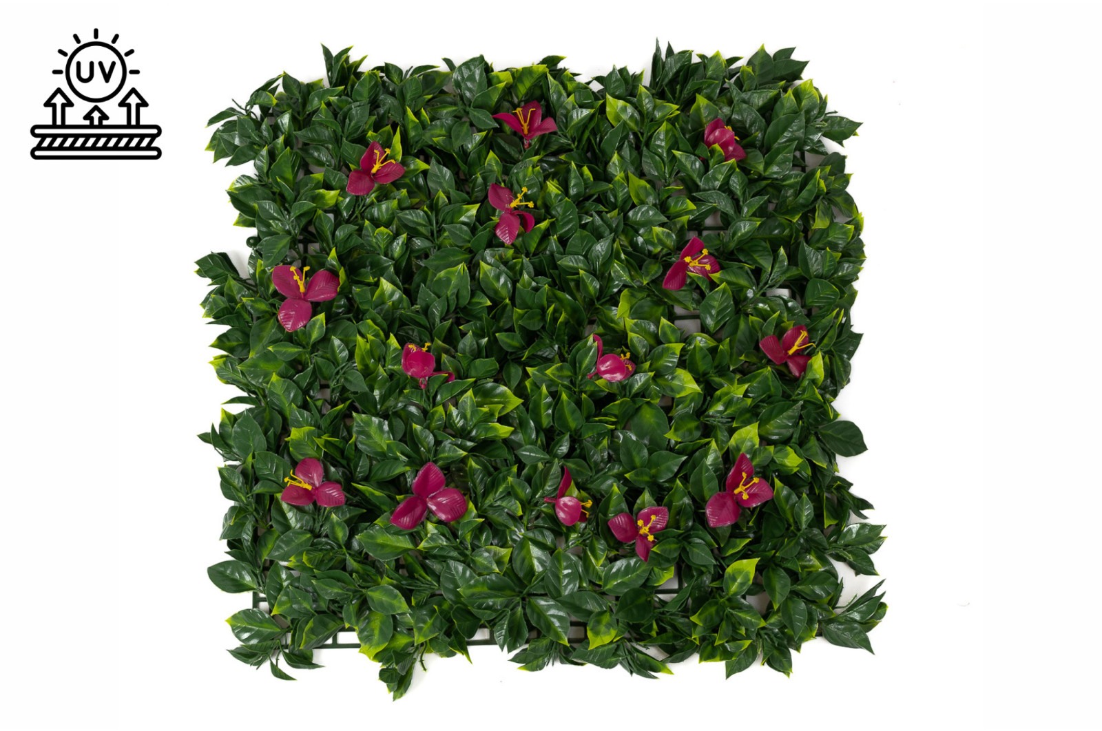 single-species-panel-artificial-bindweed-45