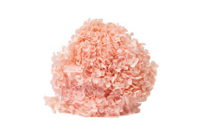 preserved-hydrangea-anna-19.