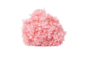 preserved-hydrangea-anna-19.