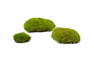 fire-retardant-preserved-pole-moss-5-cn.