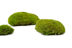 fire-retardant-preserved-pole-moss-5-cn.