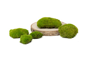 fire-retardant-preserved-pole-moss-5-cn.