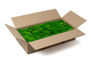 fire-retardant-preserved-pole-moss-5-cn.