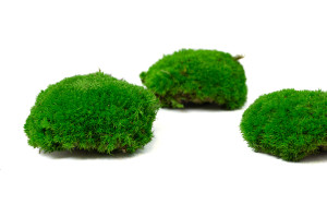 fire-retardant-preserved-pole-moss-5-cn.