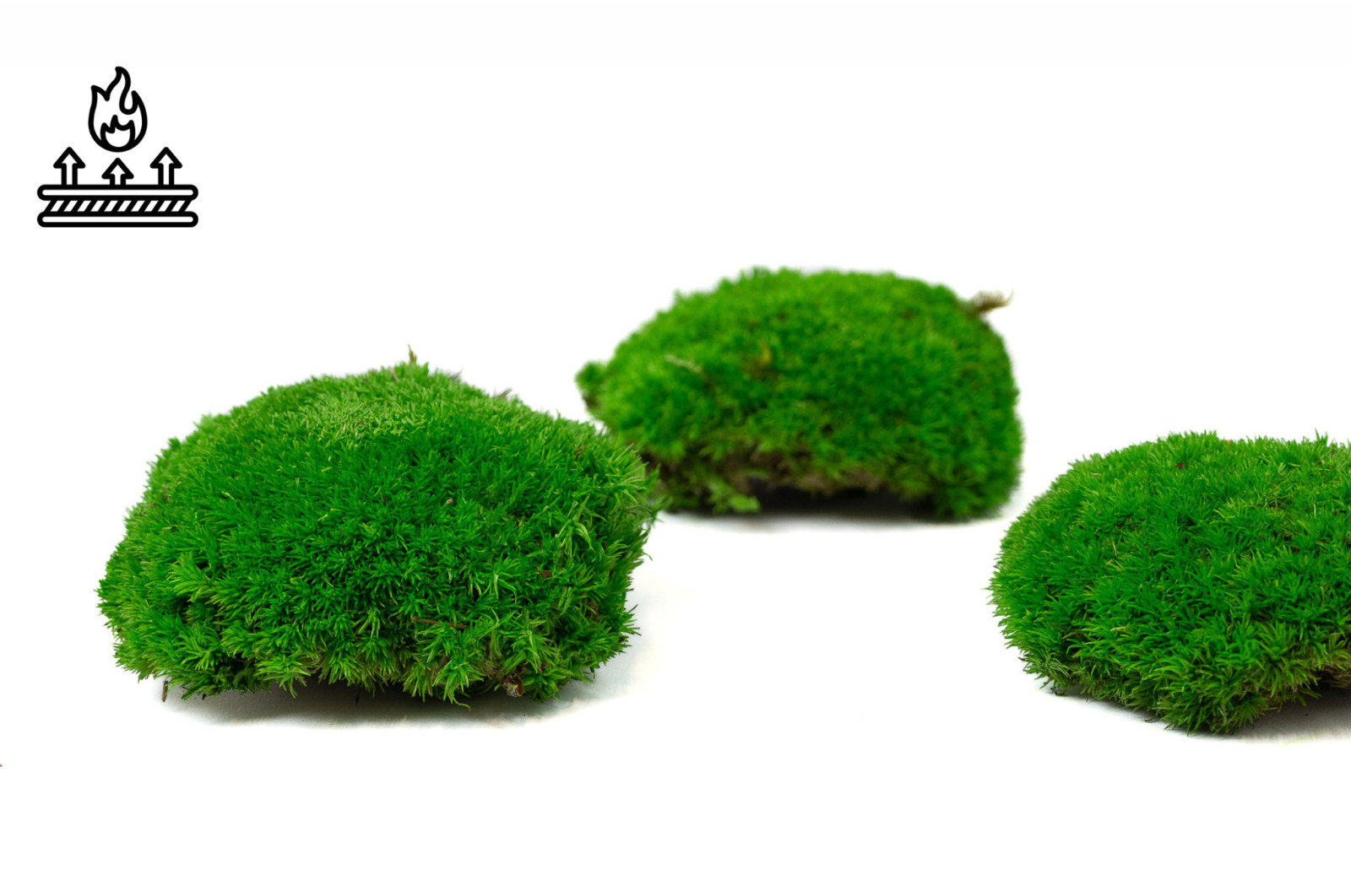 fire-retardant-preserved-pole-moss-5-cn