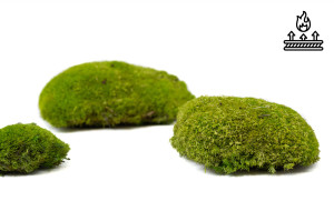 fire-retardant-preserved-pole-moss-5-cn.